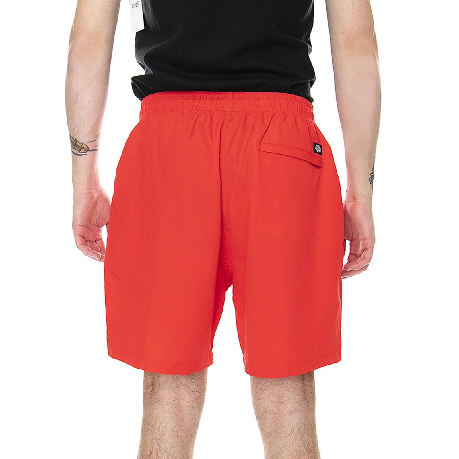 DICKIES Man - Image 3