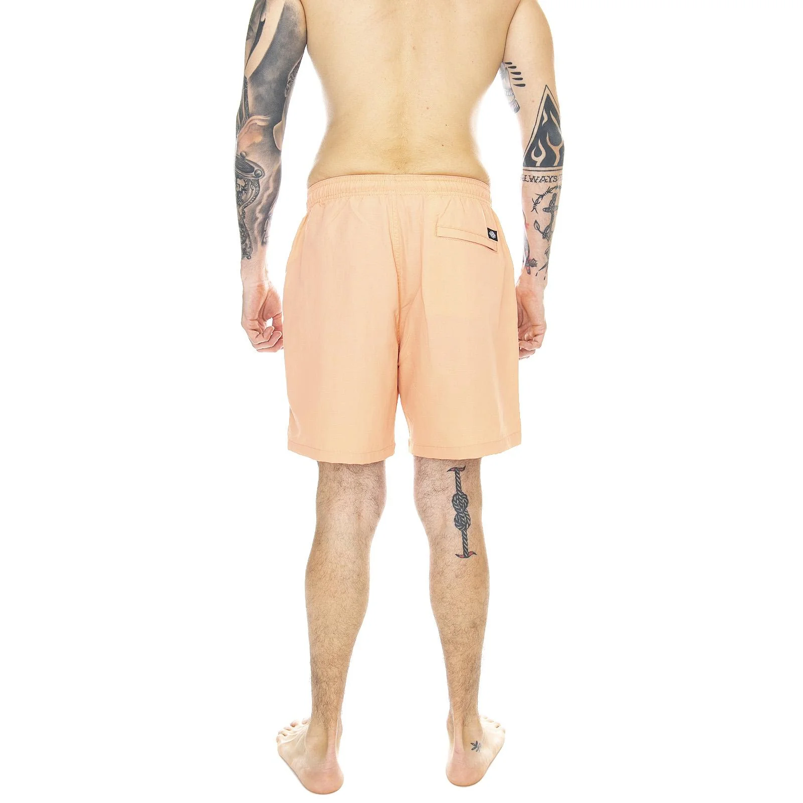 DICKIES Man - Image 3
