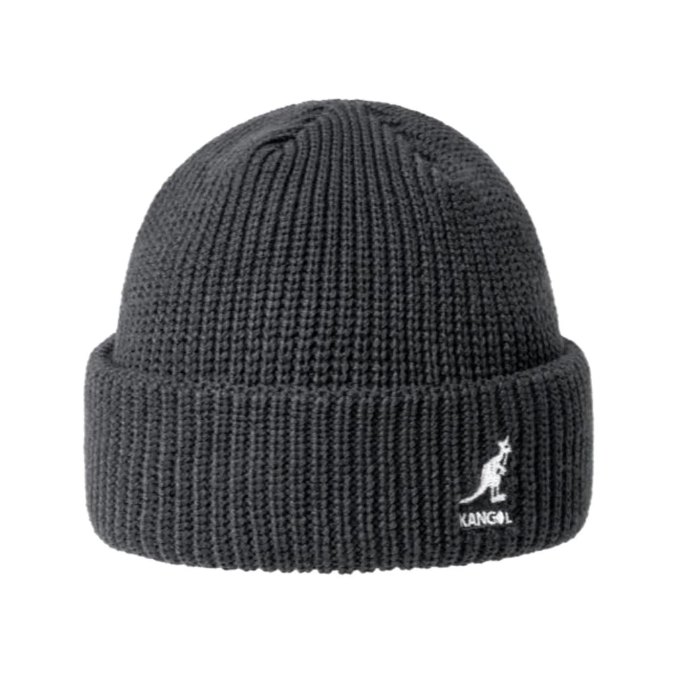 Cardinal 2 Way Beanie -- Deep Springs Green Hat KANGOL ACCESSORIES