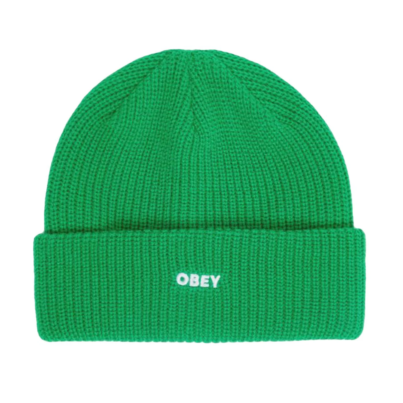 Future Beanie Fern Green - OBEY Men's Green Ribbed Knit Hat