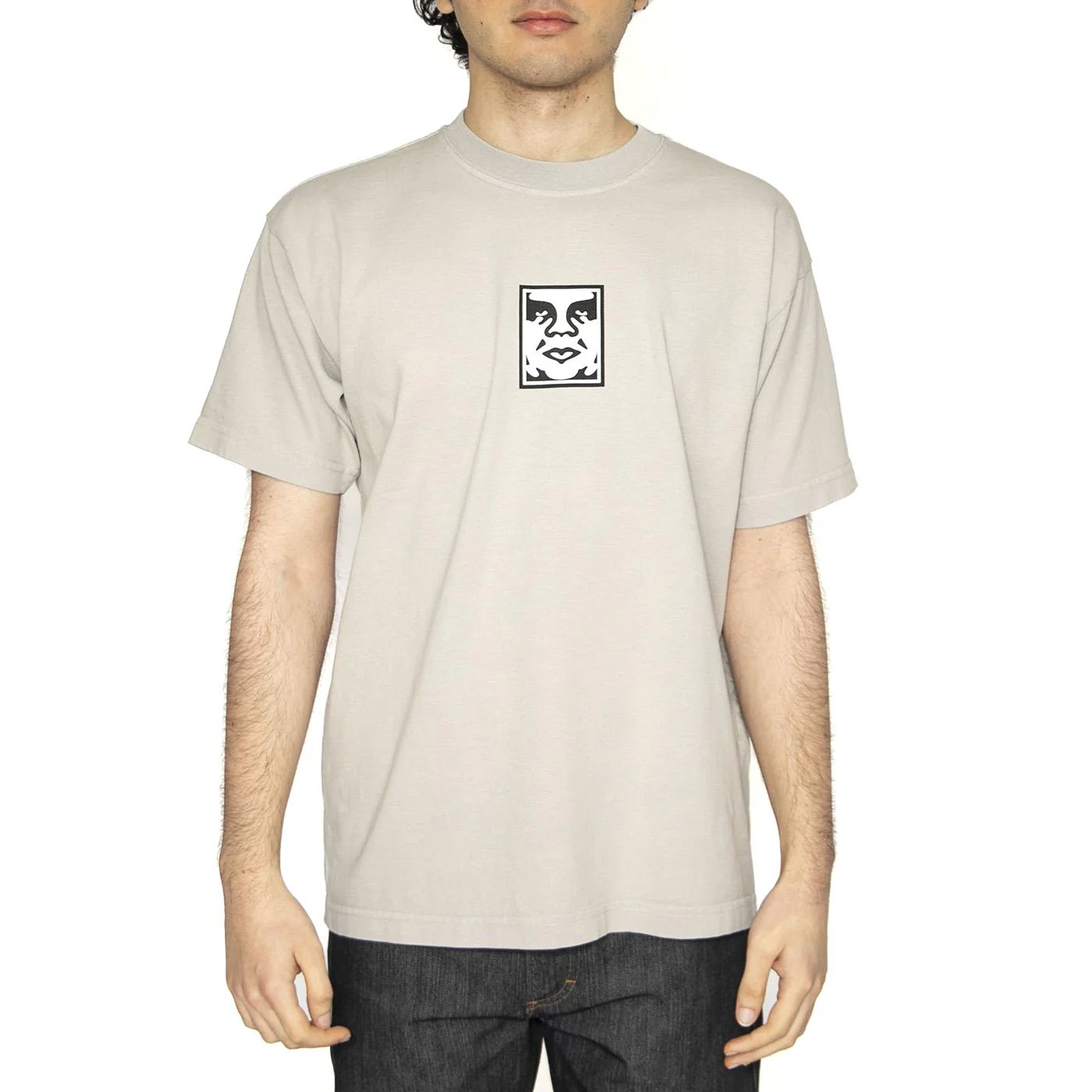 Icon Heavyweight Tee Gray - Image 2
