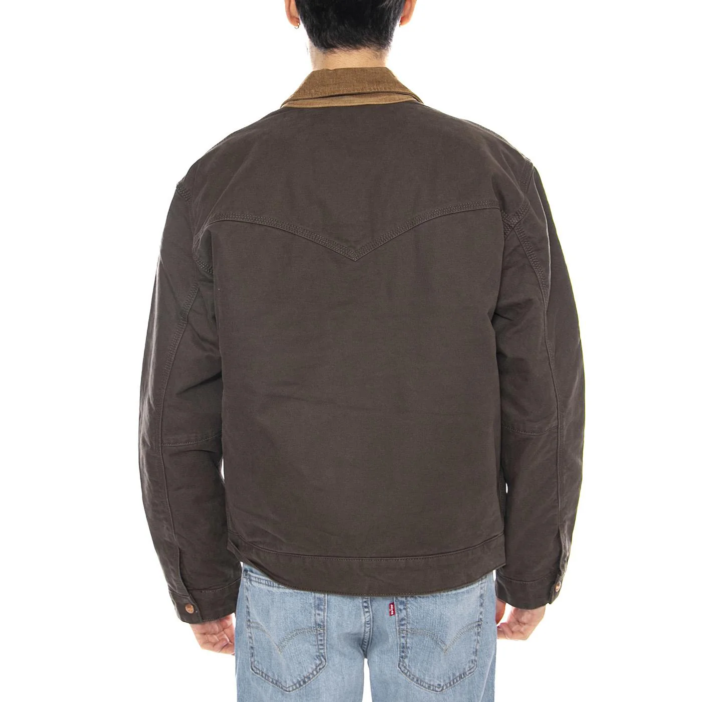 Murray Jacket Wren - Men's Green Jacket WRANGLER - Image 3